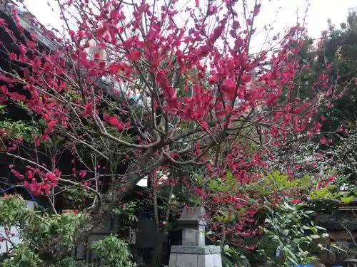 湯島天満宮の自然
