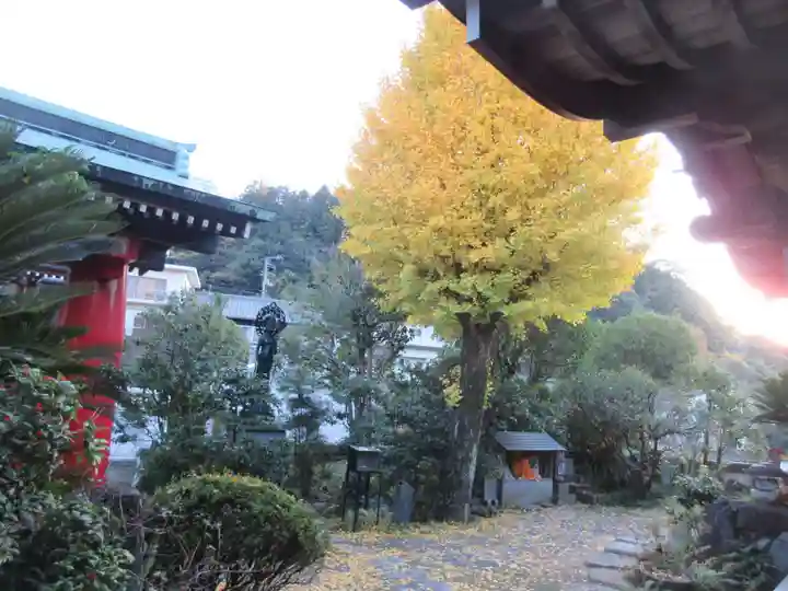 常福寺(椿堂)(愛媛県)
