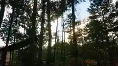 玉野御嶽神社の景色