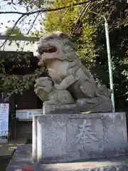 北野八幡神社の狛犬