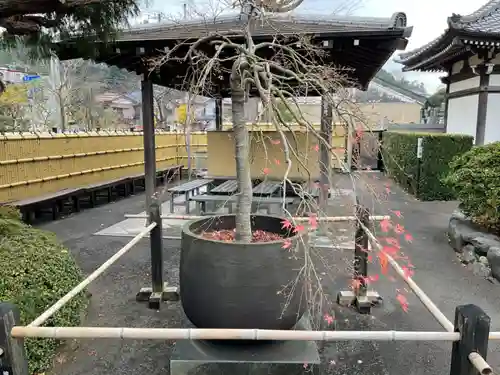 満昌寺のその他建物