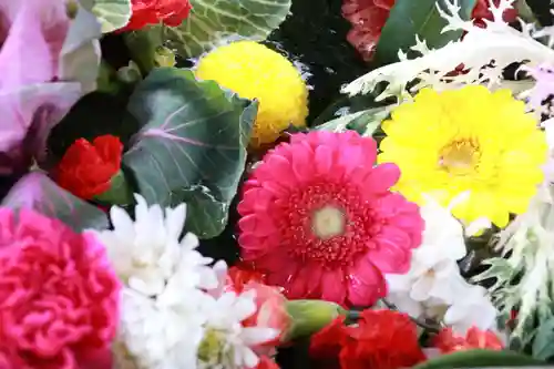 豊景神社の手水