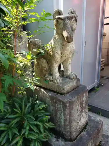 白玉稲荷神社の狛犬