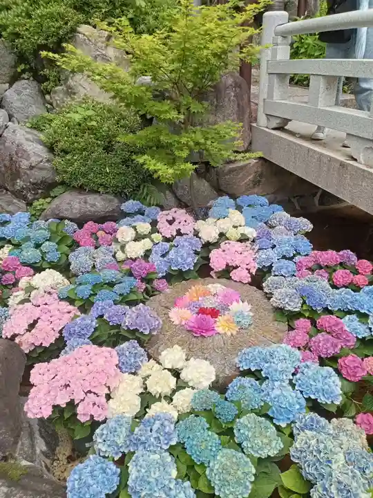 岡寺(龍蓋寺)(奈良県)