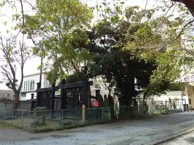 円通寺のその他建物