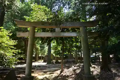 瀧宮神社(埼玉県)