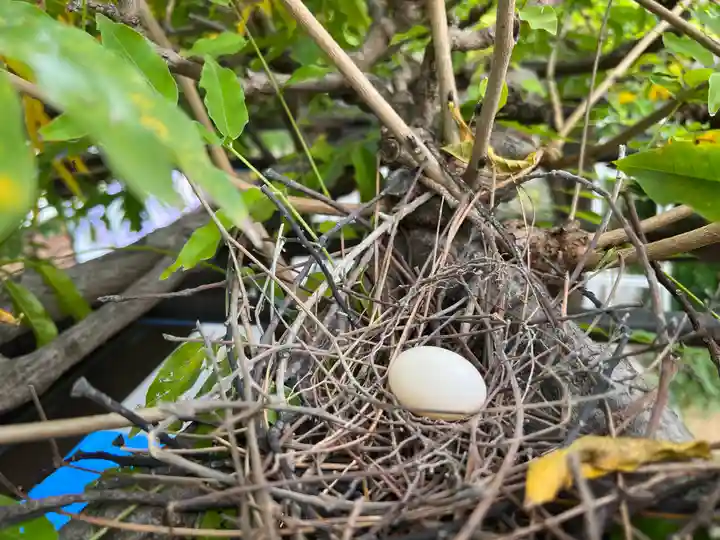 奈加美神社(大阪府)