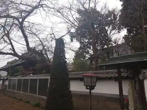 柳沢寺のその他建物