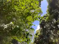 明治神宮(東京都)