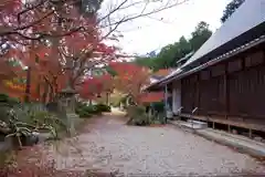 正法寺の自然