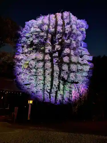 武蔵一宮氷川神社(埼玉県)