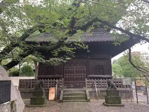 吉祥寺(東京都)