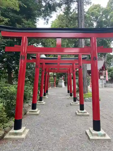 亀ケ池八幡宮の鳥居