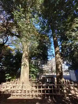 神明大神宮(神奈川県)