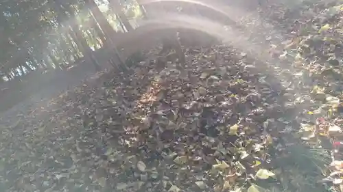 出雲大神宮のその他建物