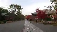 廣隆寺の建物その他