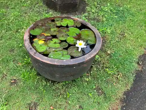 瀧泉寺（目黒不動尊）(東京都)