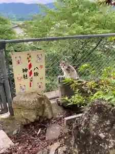 鹿角八坂神社の御朱印(2023年07月16日(日) 21時29分12秒投稿)