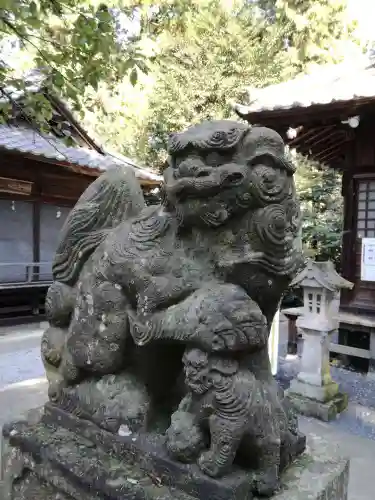 下野 星宮神社の狛犬