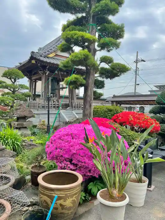 徳蔵寺の{uncategorized: "未分類", other: "その他", undefined: "問題あり", building: "その他建物", grave: "お墓", sacred_gate: "鳥居", guardian: "狛犬", statue: "像", buddha: "仏像", history: "歴史", nature: "自然", garden: "庭園", animal: "動物", pagoda: "塔", temizu: "手水舎", mountain_gate: "山門・神門", sanctuary: "本殿・本堂", subordinate: "末社・摂社", art: "芸術", scenery: "景色", jizo: "地蔵", ema: "絵馬", goshuin: "御朱印", omikuji: "おみくじ", items: "授与品その他", amulet: "お守り", goshuincho: "御朱印帳", eats: "食事", festival: "お祭り", votive_dance: "神楽", shichigosan: "七五三参", wedding: "結婚式", experience: "体験その他", initially: "初詣", around: "周辺", anti_infection: "感染症対策"}