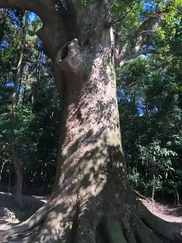 神服織機殿神社(皇大神宮所管社)の自然