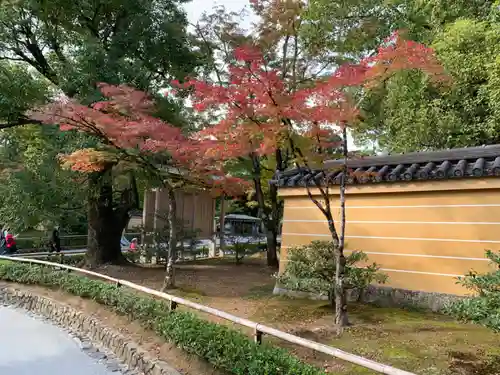鹿苑寺（金閣寺）(京都府)