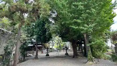 飛鳥田神社(京都府)