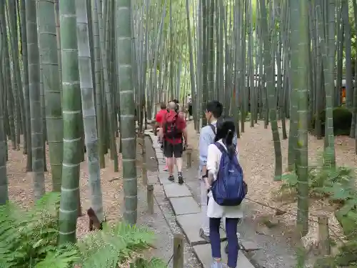 報国寺のその他建物