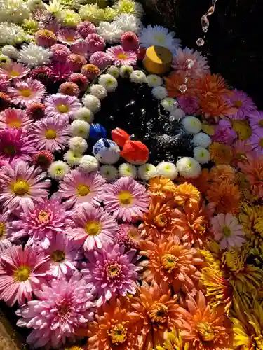 曹洞宗 永松山 龍泉寺の手水舎