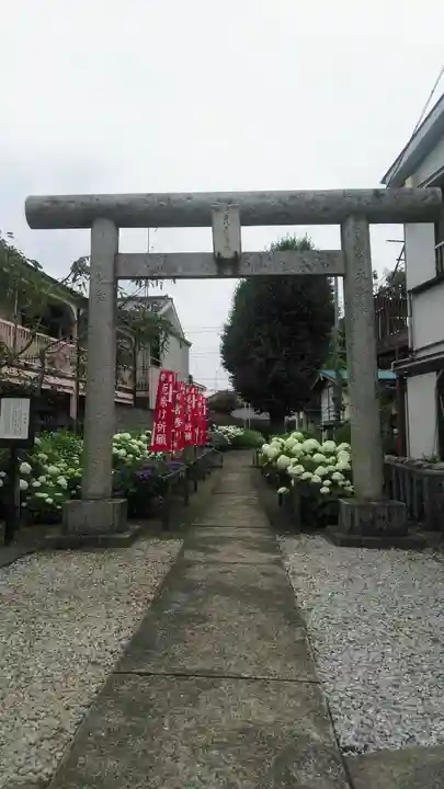 日吉八王子神社の鳥居