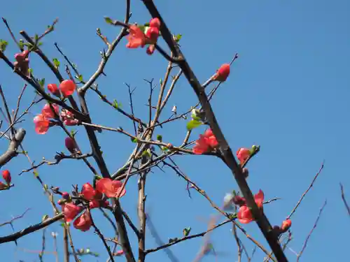 明月院(神奈川県)