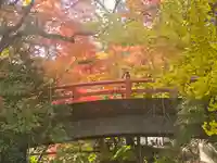 小椋神社(滋賀県)