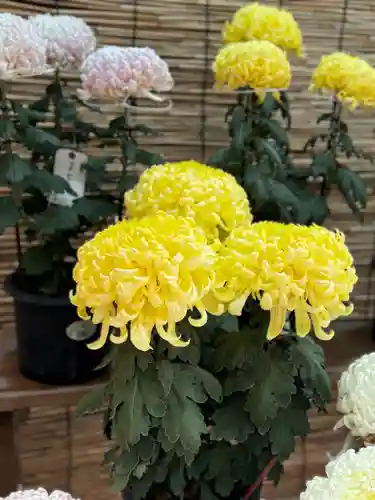 諏訪大社(長野県)