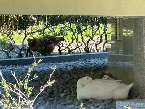 嶽之下宮(静岡県)