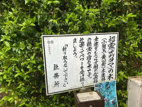 息栖神社の{uncategorized: "未分類", other: "その他", undefined: "問題あり", building: "その他建物", grave: "お墓", sacred_gate: "鳥居", guardian: "狛犬", statue: "像", buddha: "仏像", history: "歴史", nature: "自然", garden: "庭園", animal: "動物", pagoda: "塔", temizu: "手水舎", mountain_gate: "山門・神門", sanctuary: "本殿・本堂", subordinate: "末社・摂社", art: "芸術", scenery: "景色", jizo: "地蔵", ema: "絵馬", goshuin: "御朱印", omikuji: "おみくじ", items: "授与品その他", amulet: "お守り", goshuincho: "御朱印帳", eats: "食事", festival: "お祭り", votive_dance: "神楽", shichigosan: "七五三参", wedding: "結婚式", experience: "体験その他", initially: "初詣", around: "周辺", anti_infection: "感染症対策"}