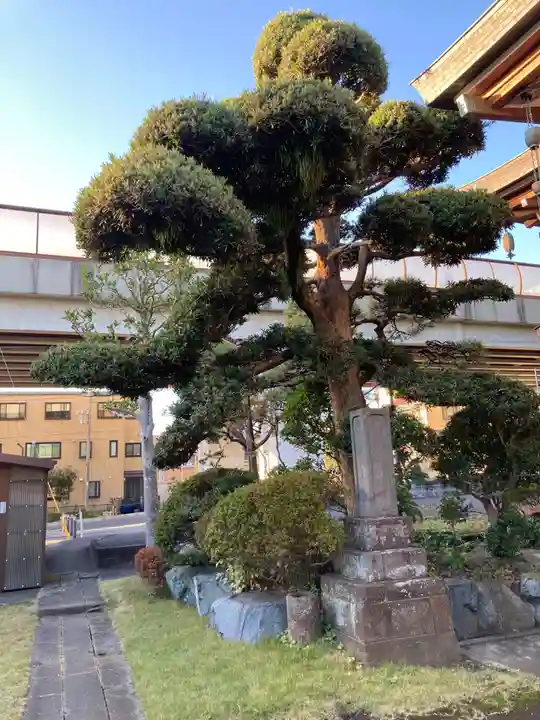 弥勒寺(神奈川県)
