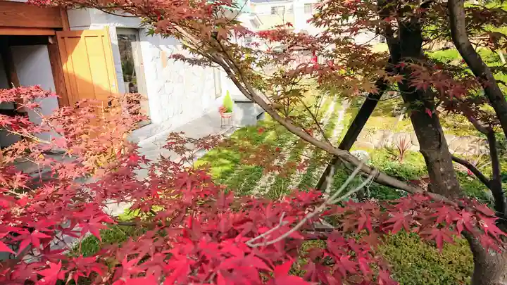 寿量山 速成寺の自然