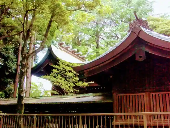 川口神社の本殿・本堂
