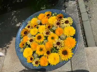 行田八幡神社の手水舎