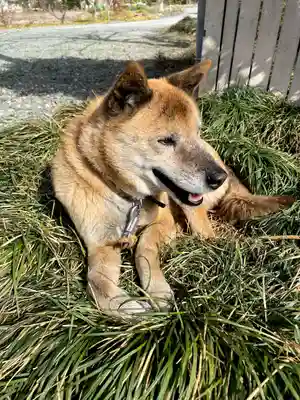 妙昌寺(埼玉県)