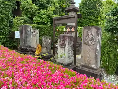 真光寺(千葉県)