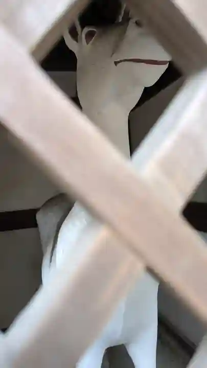 今宮神社(京都府)