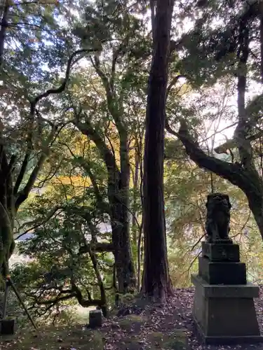 徳神社(兵庫県)