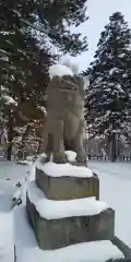 上川神社の狛犬