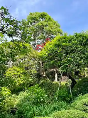 大巧寺(神奈川県)