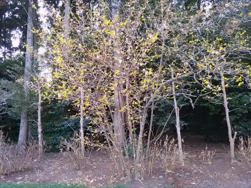芳賀天満宮(栃木県)
