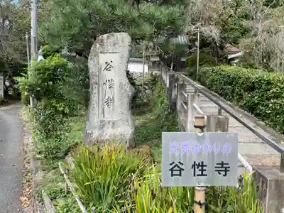 谷性寺(京都府)