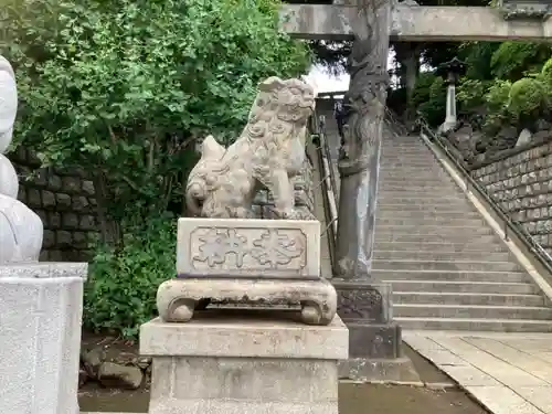 品川神社の狛犬