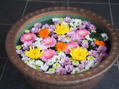 行田八幡神社(埼玉県)