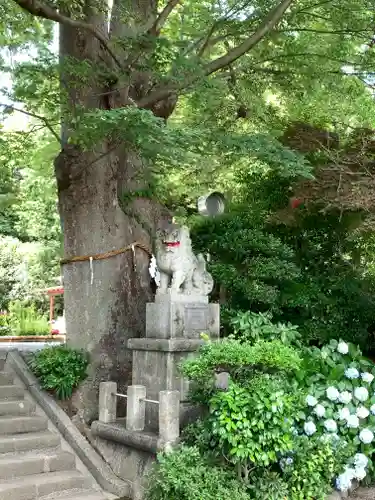 比々多神社の狛犬